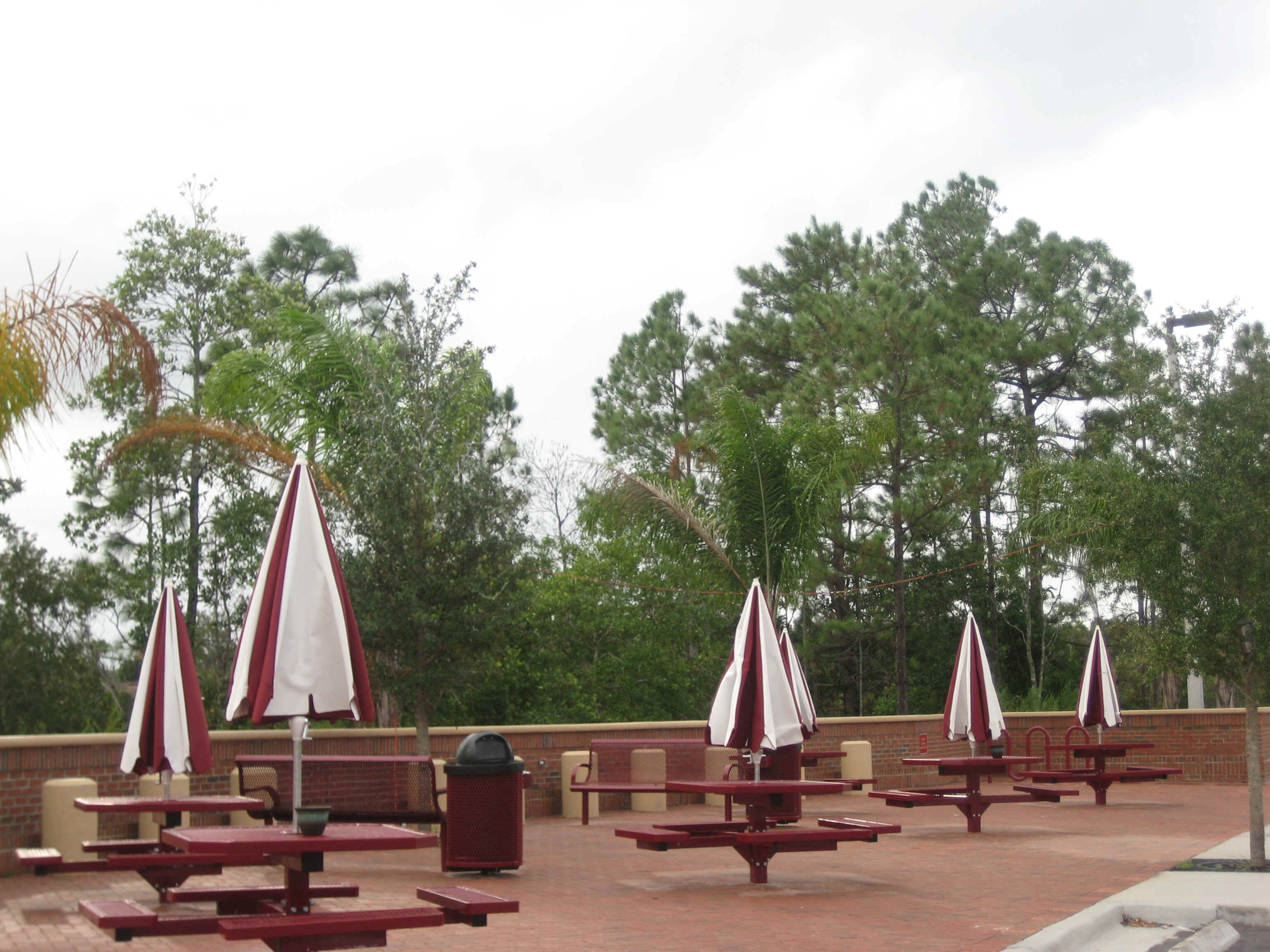 patio.JPG (3259026 bytes)